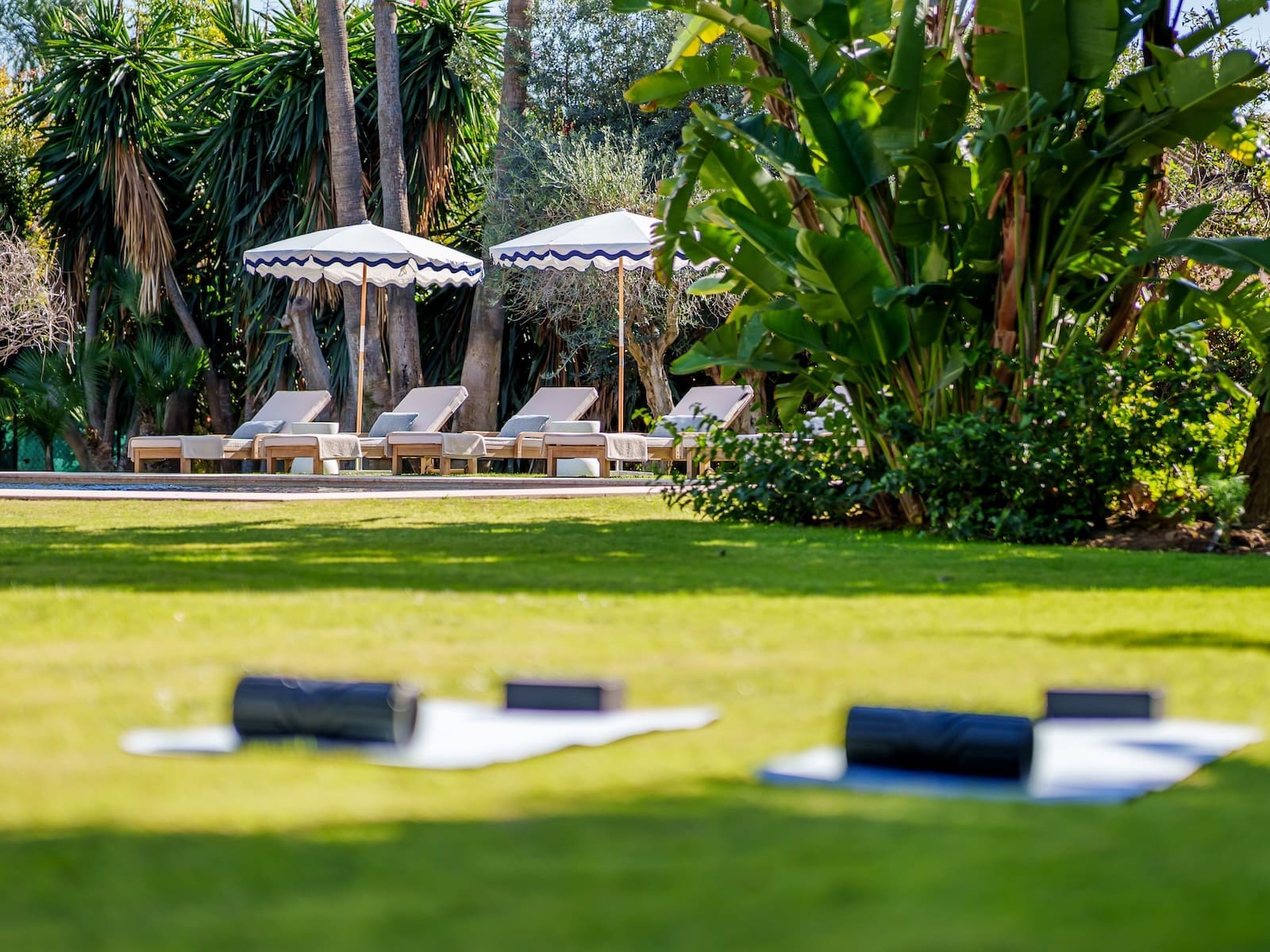 Villa Palm Springs in La Cerquilla, Marbella – luxury bungalow with botanical gardens and pool, listed by MDR Luxury Homes.