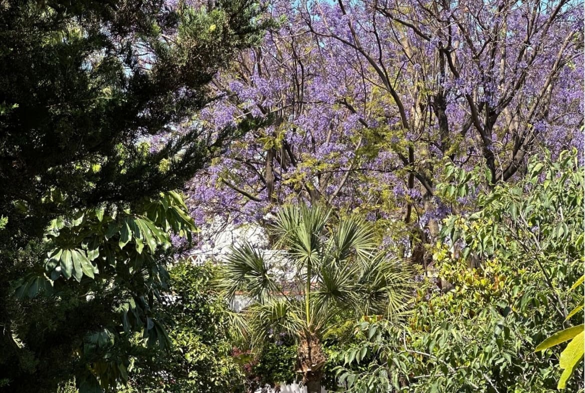 Fully renovated apartment next to Finca El Portón in Alhaurín de la Torre listed by MDR Luxury Homes