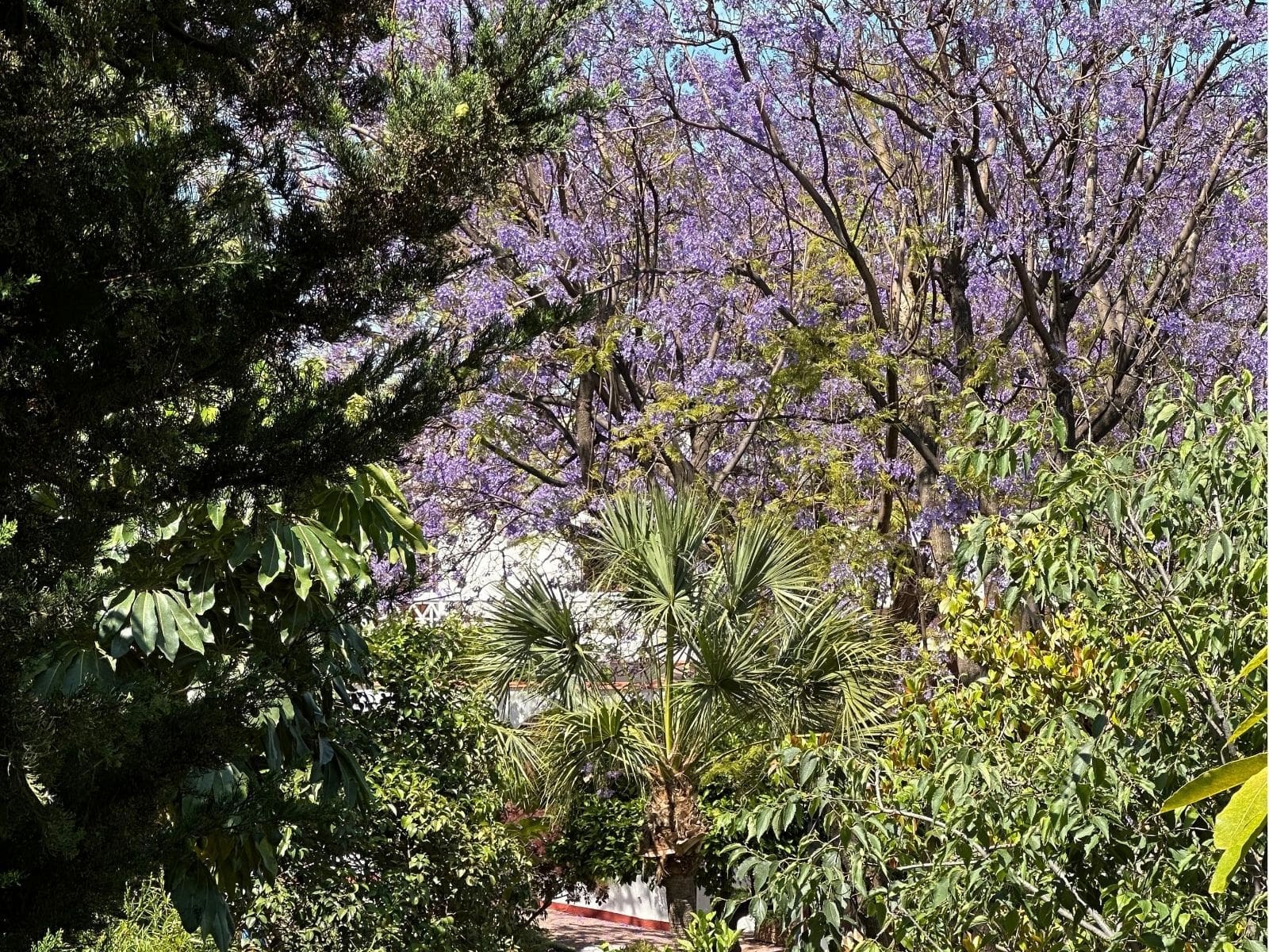 Fully renovated apartment next to Finca El Portón in Alhaurín de la Torre listed by MDR Luxury Homes