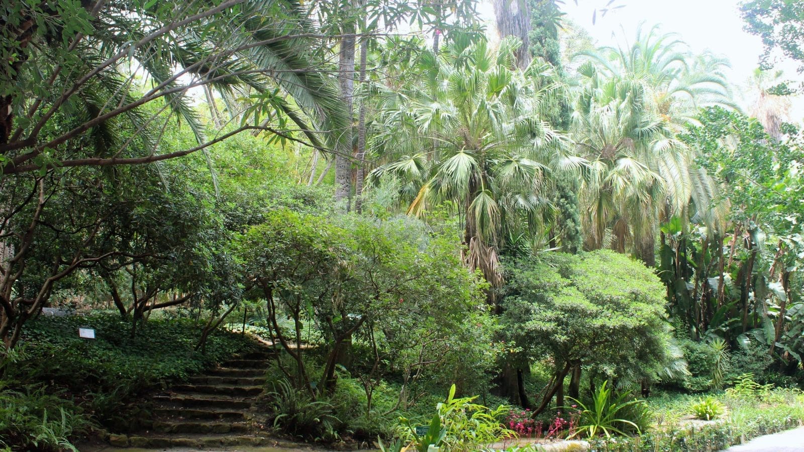 Botanische tuin La Concepción Málaga | MDR Luxury Homes Botanische tuin La Concepción Málaga