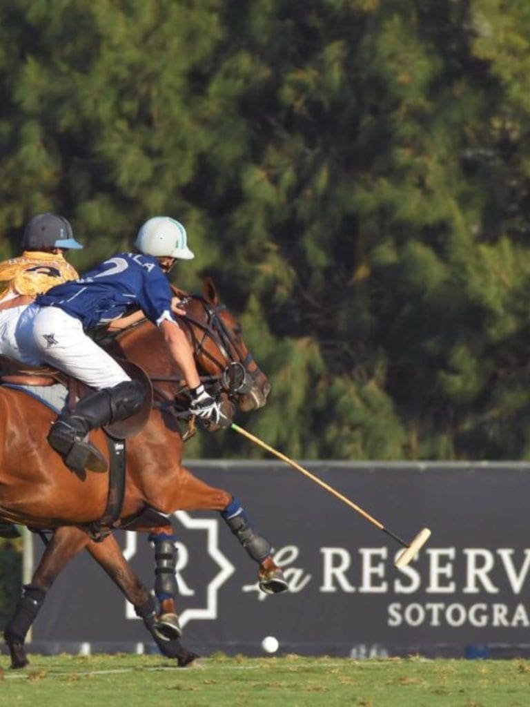 International polo tournament in Sotogrande